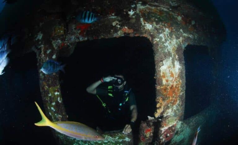 Buceo Isla Saona