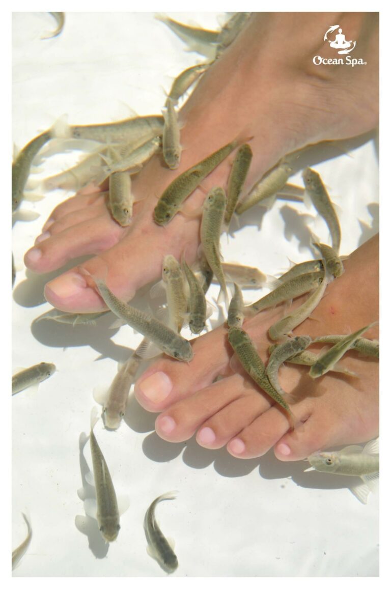 Ocean Spa Dr Fish Punta Cana