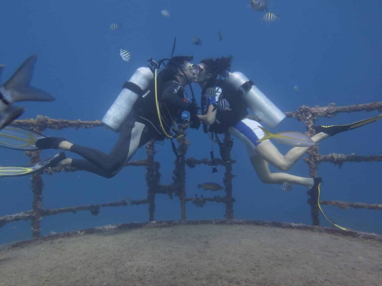 Buceo Isla Saona