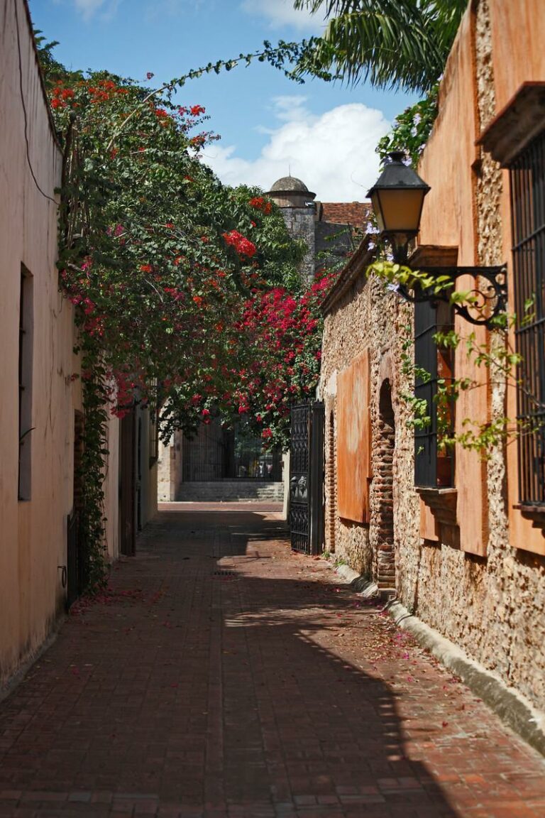 Santo Domingo Colonial
