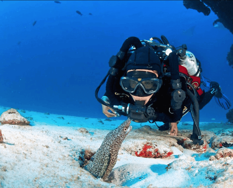 Buceo Isla Catalina