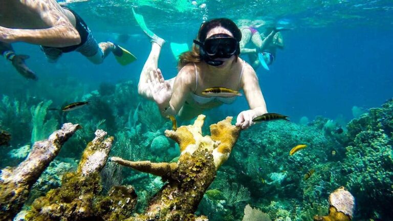 Snorkel Isla Catalina